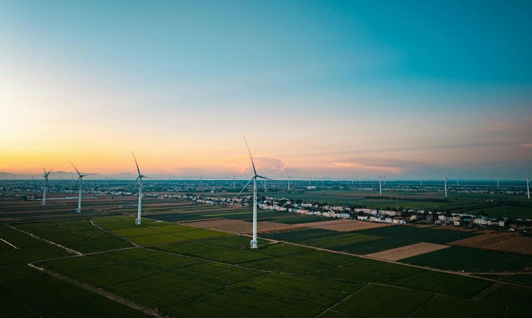 Decarbonizing the Skies: Analyzing the Impact of ReFuelEU’s Landmark First Year