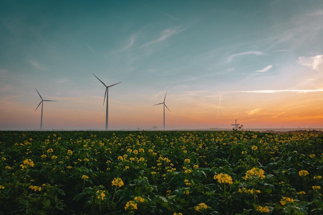 Climate XChange Launches 11th Annual EV Raffle with Record-Breaking Prizes