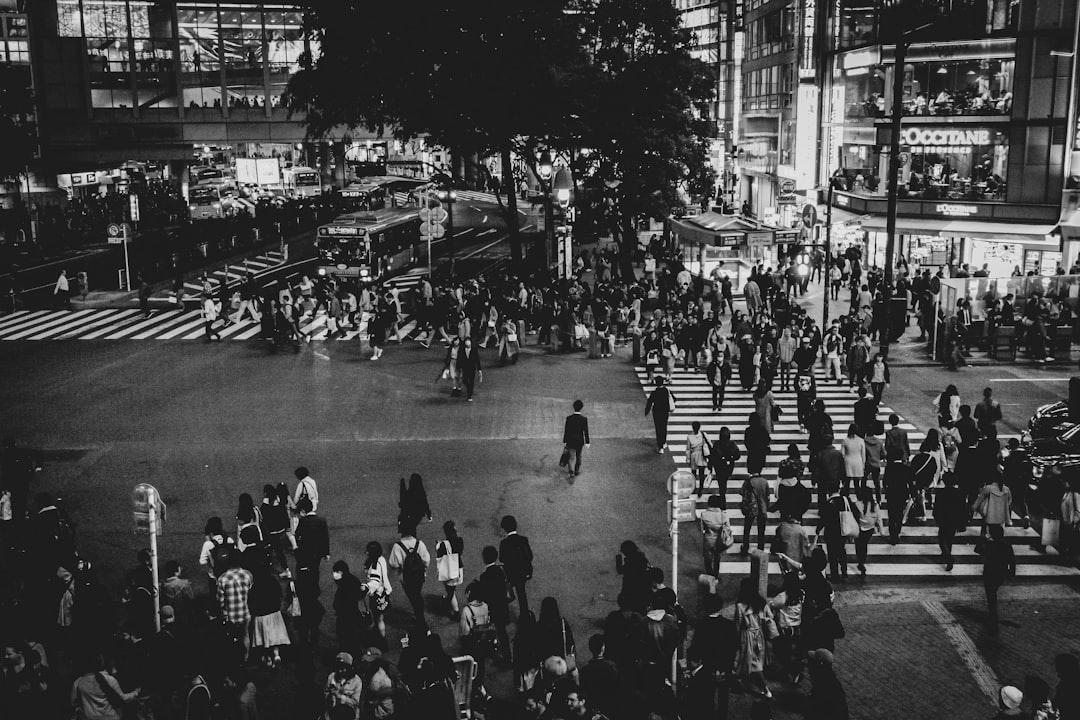 Sarajevo Film Festival Unveils Audience-Driven 'Prix Cineplexx' Award
